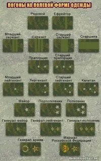Звезды на полевых погонах