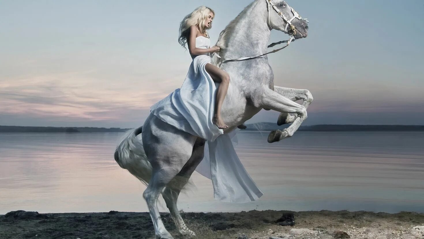 Учительница кони. Девушка на коне. Женщина на белом коне. Красивые лошади. Фотосессия с лошадью в платье.
