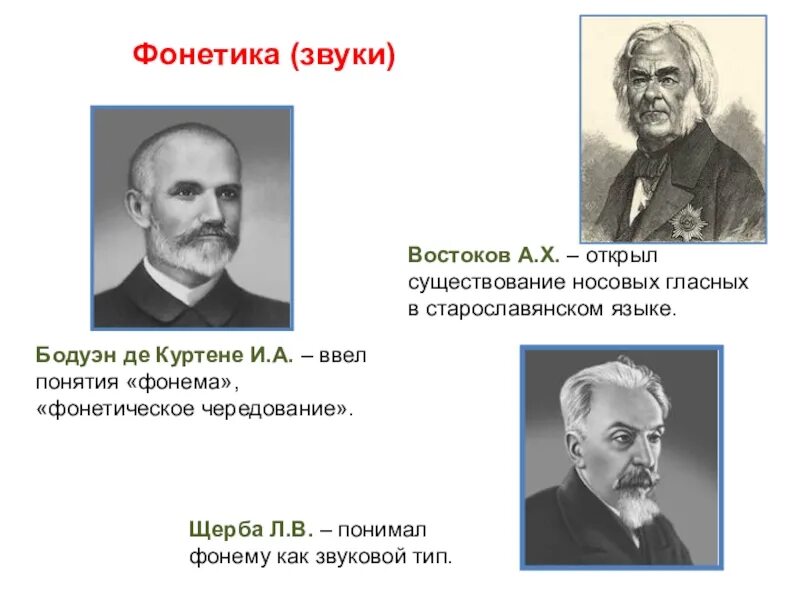 ученые изучающие человека. вклад ученых в изучение старославянского языка. шахматов алексей александрович теория.