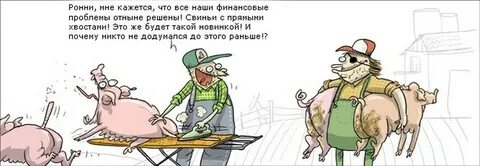 Анекдот свинья в люльке