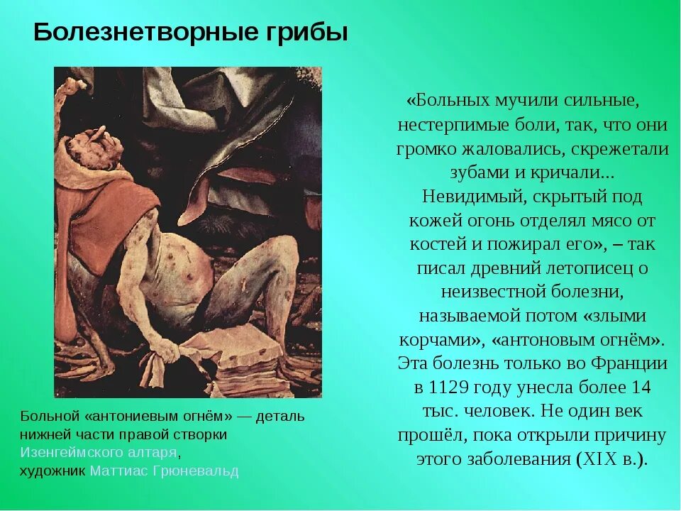 Заболевания вызываемые паразитическими грибами. Болезнетворные грибы. заболевания вызываемые патогенными грибами. грибы вызывают заболевания у животных и людей. болезнетворные грибы для человека.