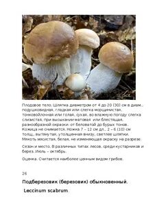 Грибы состав