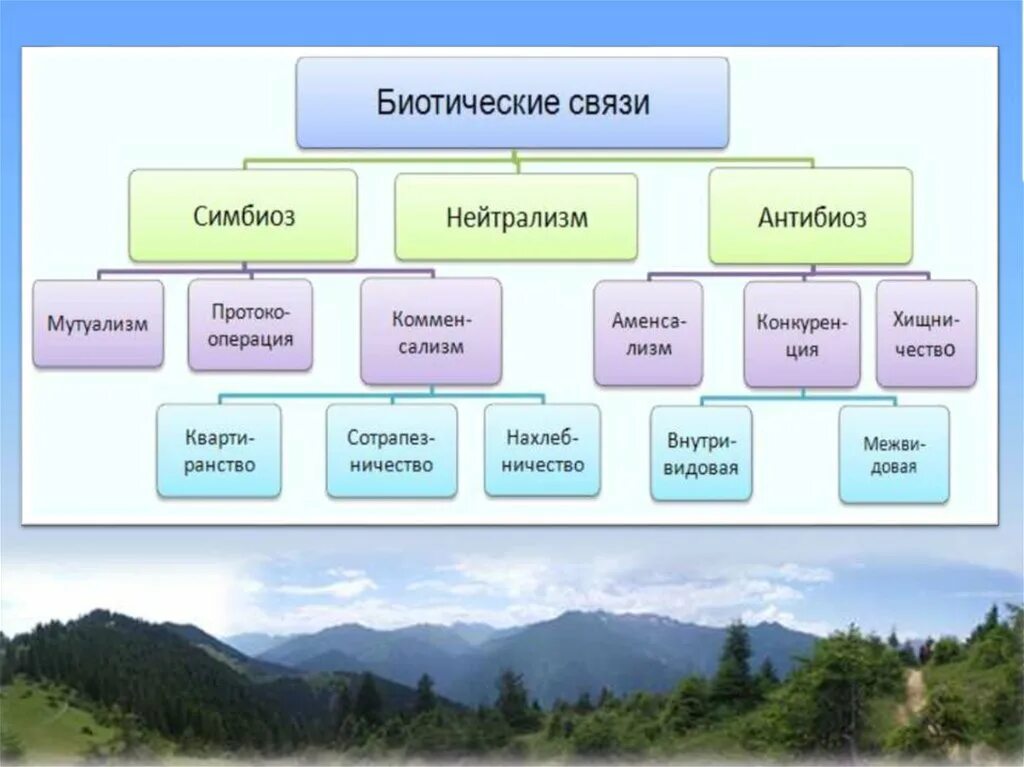 Биотические взаимодействия сколько групп. Типы биотических связей схема. Типы биотических связей в природе. Биотические взаимоотношения схема. Формы биотических связей в природе.