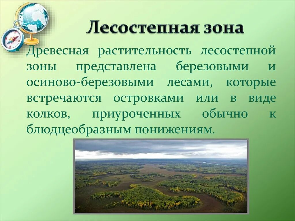 Лесостепная зона. Лесостепная зона растительность. Лесостепная зона Казахстана. Растительность лесостепепной зоны Челябинской области.