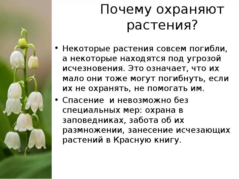 Охрана растений из красной книги. Почему нужно охранять растения. Редкие и охраняемые виды растения. Редкие охраняемые растения.