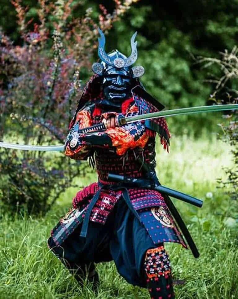 Мой самурай сегодня в темнице. Самурай Ронин катана. Самурай сёгуна 1978. Доспехи сёгуна. Японский Самурай Сегун.