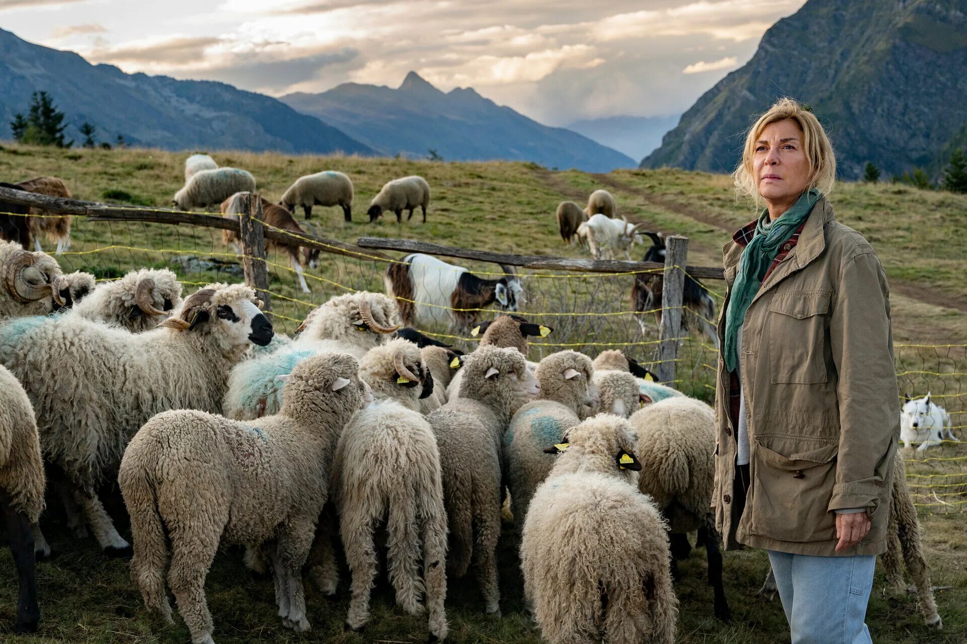 ) - новое поколение. белль и себастьян 2022. белль и себастьян 2023. белль и себастьян новое поколение. белль и себастьян 2022.