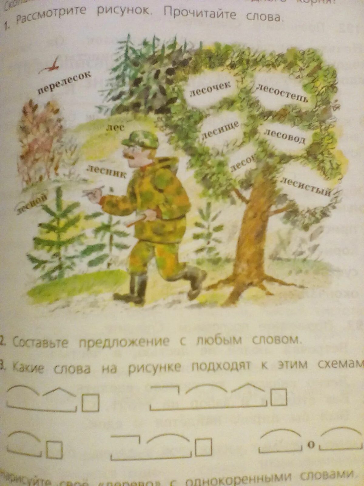 Рассмотри рисунки прочитайте слова. Какие слова на рисунке подходят к схемам. Какие слова на рисунке подходят к этим схемам. Предложение со словом Лесник. Предложение со словом лес.