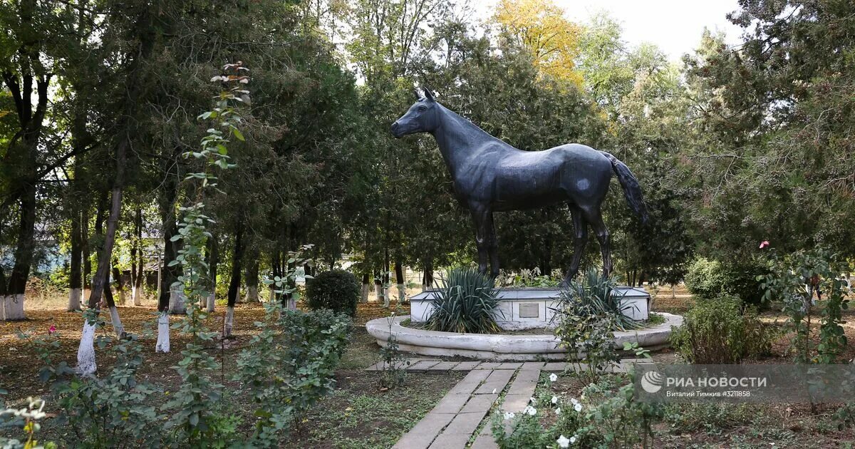 Восход новокубанск. Конезавод Восход Краснодарский край музей. Конезавод Восход памятник анилину. Краснодарский край станица конезавод. Памятник коню Краснодарский край.