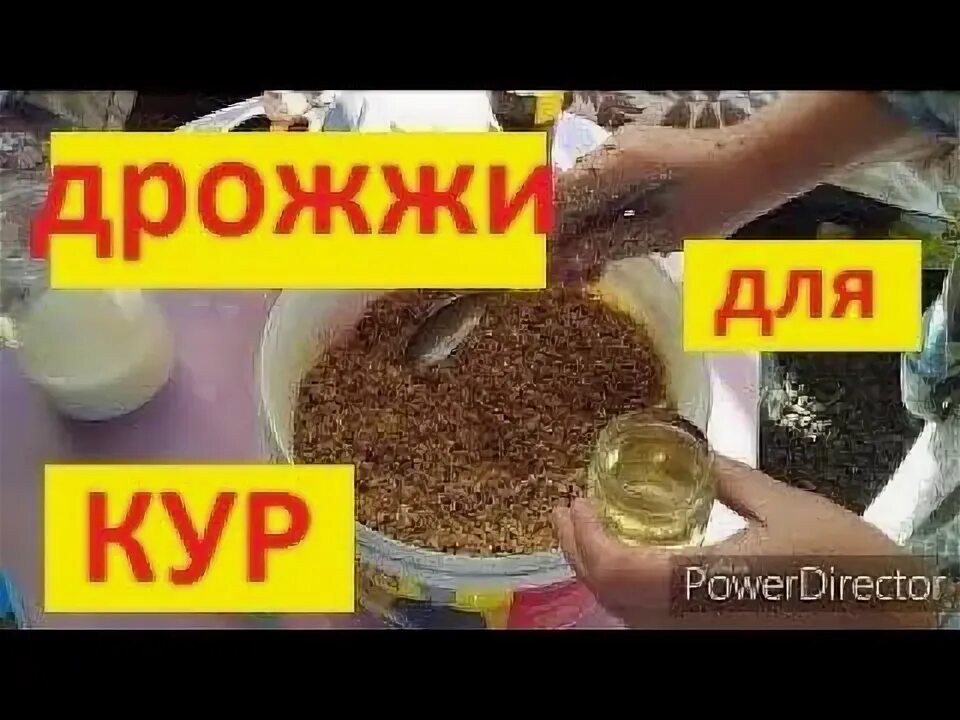 Как давать дрожжи курам несушкам для яйценоскости. Дрожжи для кур. дрожжи для курей. дрожжи для кур несушек. дрожжи для кур несушек для яйценоскости.