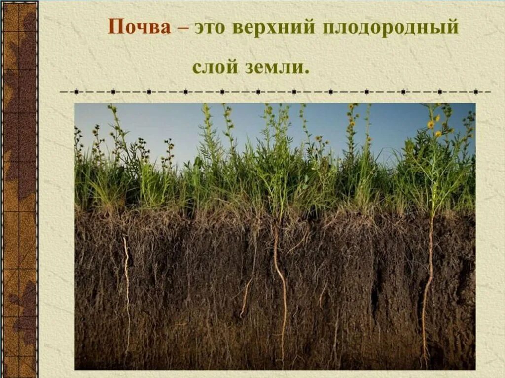 Наиболее плодородная почва называется. Почва. верхний плодородный слой. верхний плодородный слой почвы. география почв.