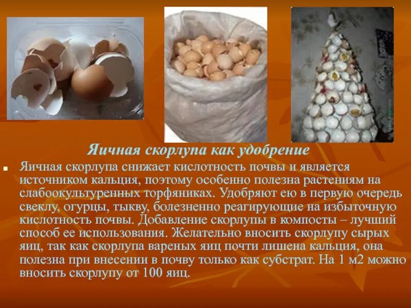 Можно ли давать яичную скорлупу