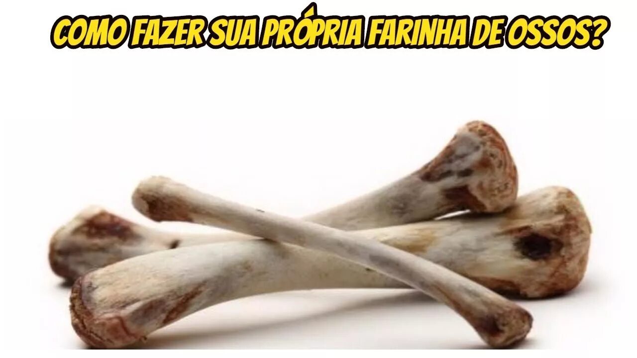 Free bone pile Images, Pictures, and Royalty-Free Stock Photos - FreeImages.com
