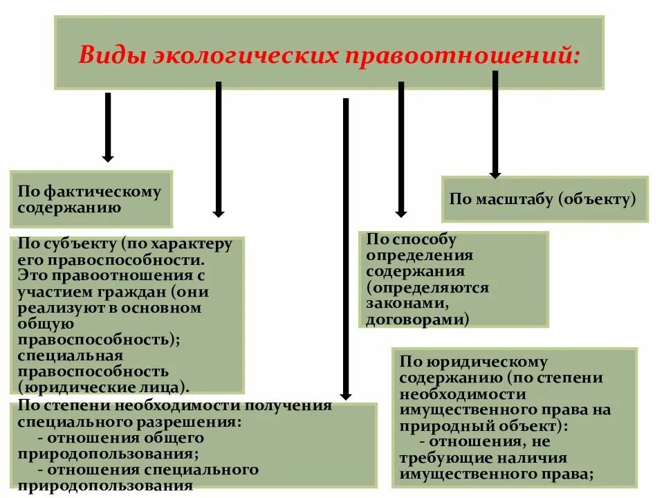 Экологические отношения определение