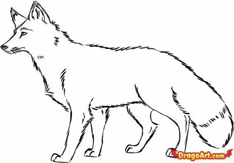 Как нарисовать лесных животных