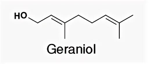 Гераниол что это. Гераниол. Гераниол формула. Гераниол структурная формула. Гераниол и нерол.