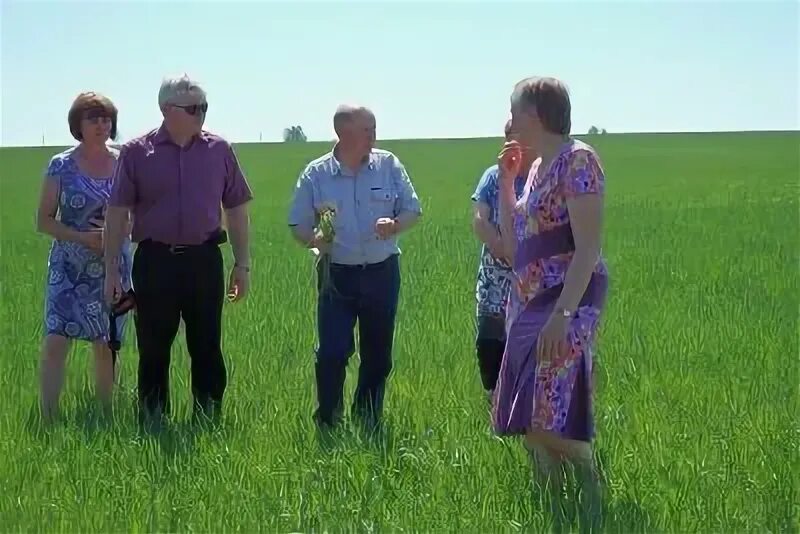 Река святица кировская область. Районный фестиваль фалёнская картошка. Погода в октябрьском кировская область фаленский. Погода в октябрьском кировская область фаленский. Погода в октябрьском кировская область фаленский.