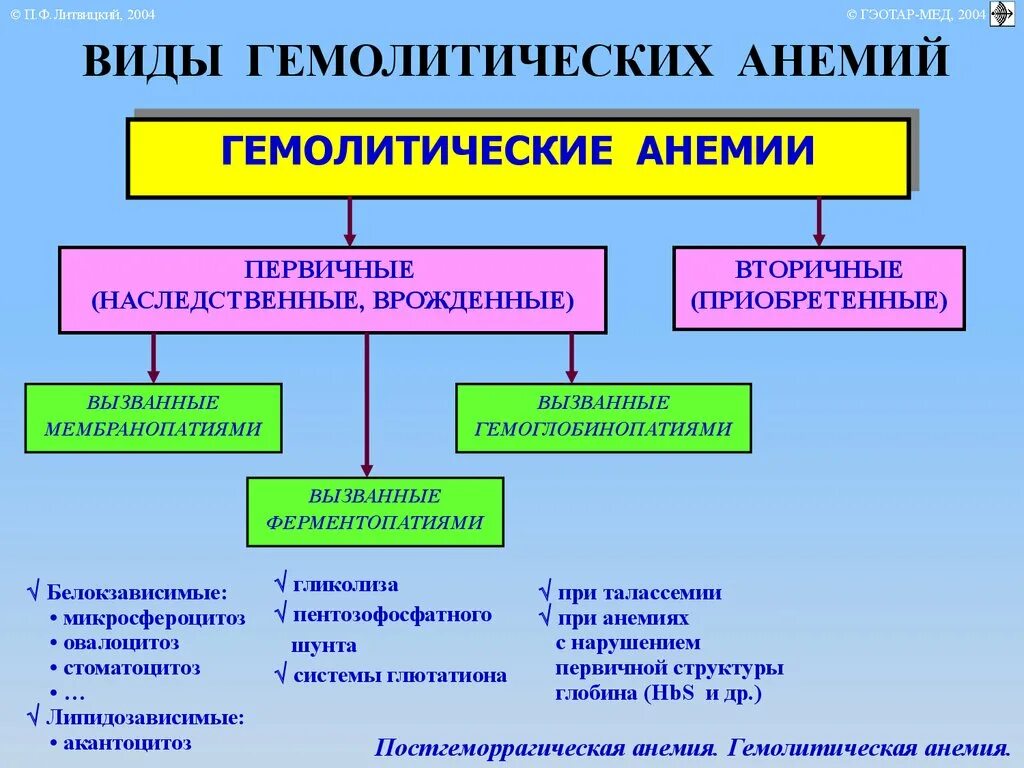 Анемия гемолитического типа. Гемолитическая анемия причины механизмы развития. Тип кроветворения при гемолитической анемии. Патогенез основных видов гемолитических анемий. Механизм развития гемолитической анемии.