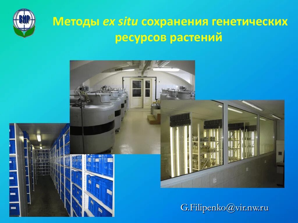 Сохранение генетических ресурсов. Методы сохранения генетических ресурсов растений. генетический банк растений. хранилище генетических материалов. охрана генетических ресурсов.