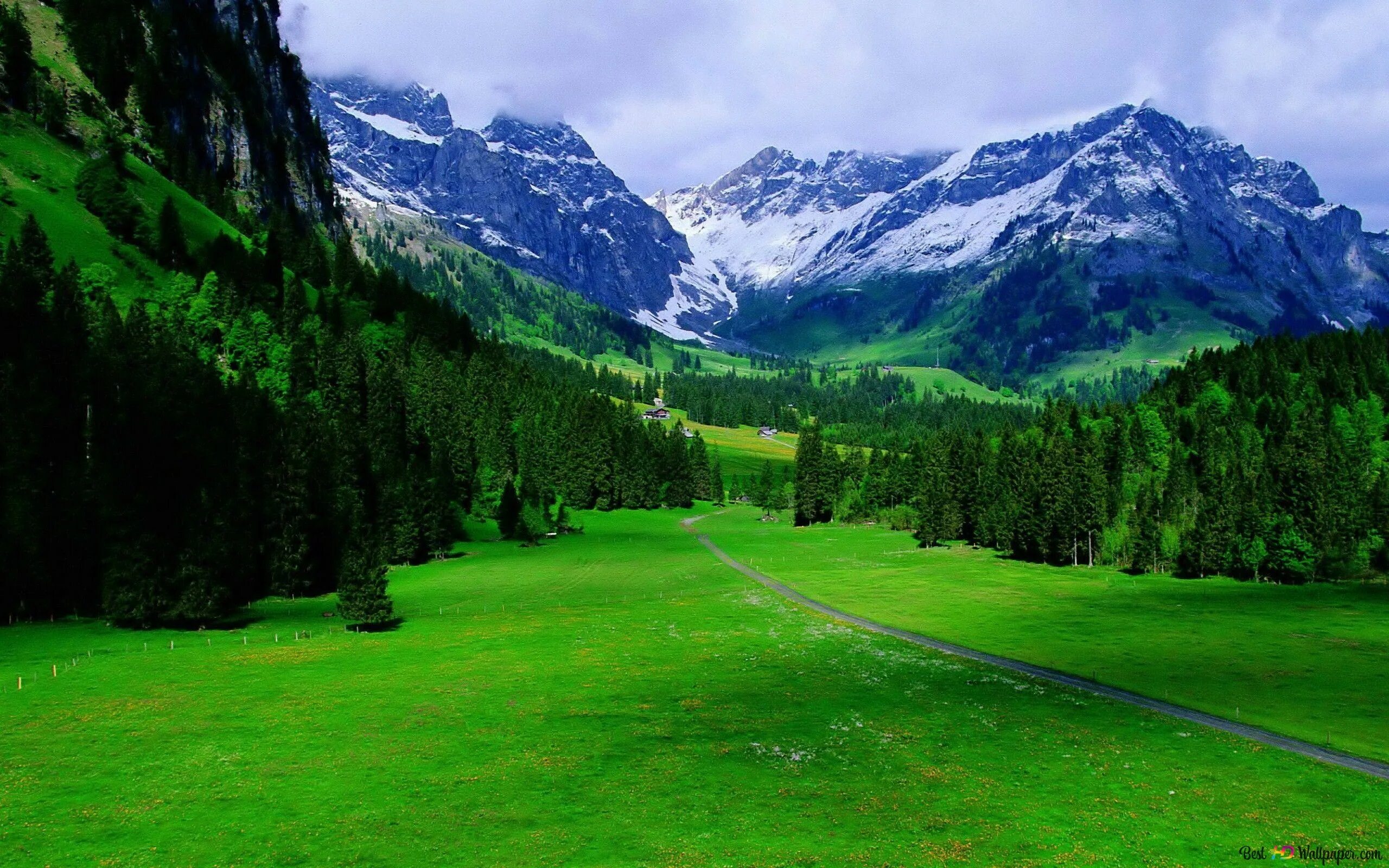 Пейзажи англии. Natural scene. Лес горы. Natural scene. Национальный парк денали аляска дикая природа.