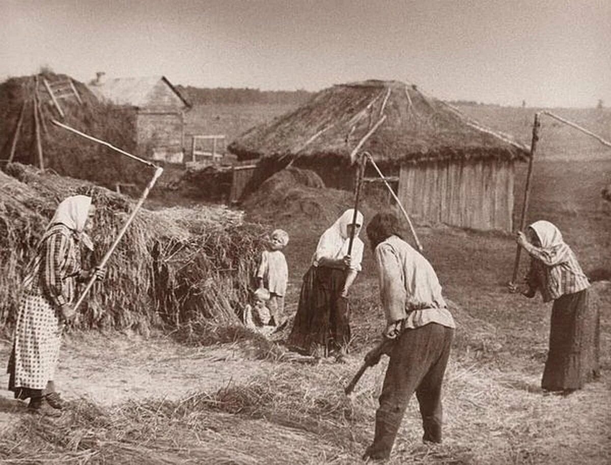 Как крестьяне использовали. Молотьба пшеницы 19 век. есенин молотьба. крестьяне молотьба 19 век. обмолот льна.