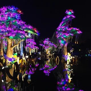 Dubai garden glow отзывы