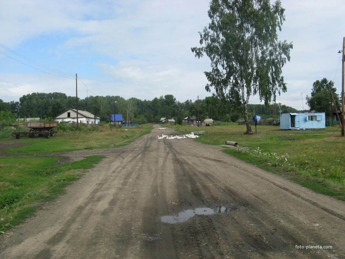 Егоровка Болотнинский район Новосибирской области. Светлая Поляна Болотнинский район Новосибирская область. Село Зудово Болотнинский район Новосибирской области. Чахлово Болотнинский район.