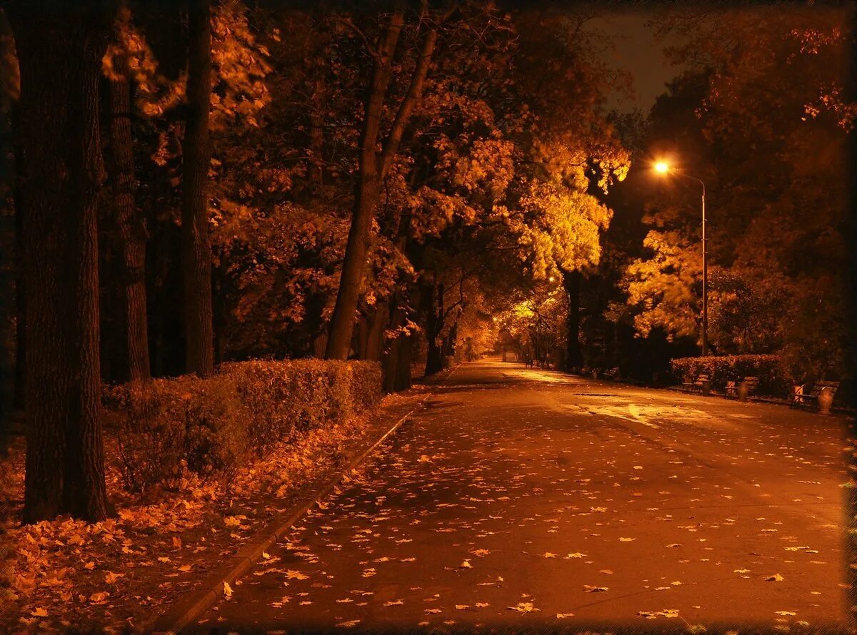 October evening. осенняя ночь. осенняя заставка на рабочий стол. October evening. осенний вечер.