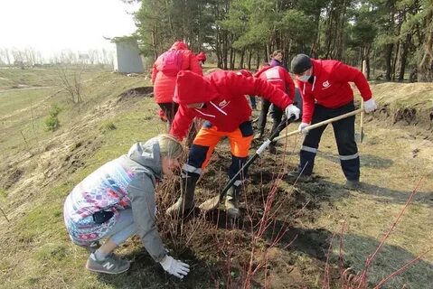 Волонтеры воронеж