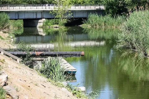 Что люди делают для охраны реки дона