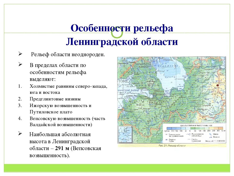 Информация о ленинградской области. Основные формы рельефа Ленинградской области на карте. Рельеф Санкт-Петербурга и Ленинградской области 4 класс. Формы рельефа Ленобласти. Рельеф Ленинградской области 4 класс.