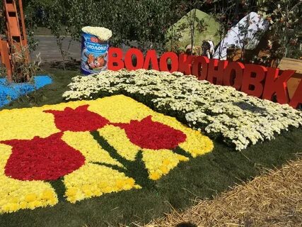 Цветущий белгород
