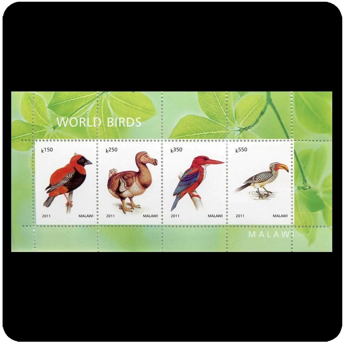 Bird code