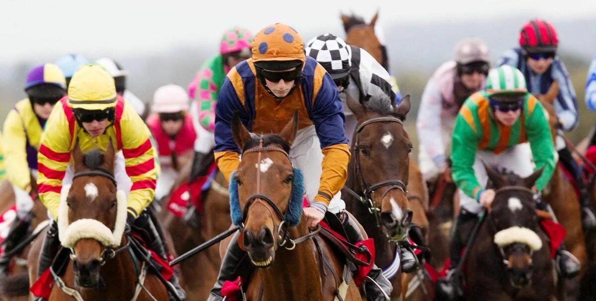 The grand national is a horse. Grand national horse race. Скачки grand national. The grand national is a horse. Стипль чез.