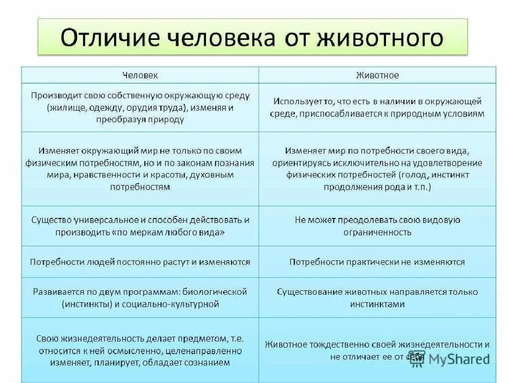 Какие различия есть между. Отличия человека от животных таблица. Различие животных и человека таблица. Различия человека от животного таблица биология. Отличие человека от животного сходства и различия таблица.