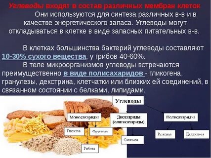 Углевод бактерий