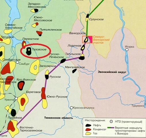 Ванкорское месторождение нефти на карте России. Сузунское месторождение Красноярский край. Восточно-Сузунское месторождение на карте. Месторождения на Тазовском полуострове. Тазовский участок