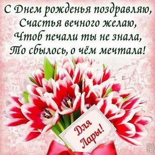 Стихи поздравление светы