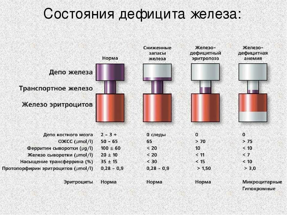 Почему низкий ферритин при нормальном. Гемоглобин ферритин железо показатели нормы. показатели гемоглобин, ферритин сывороточное железо. симптомы железа железодефицитная анемия. показатели крови при нехватке железа.