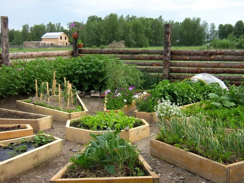 Треугольные грядки. Огород солнышком. Круглые грядки своими. Декоративные грядки. Полукруглые грядки.