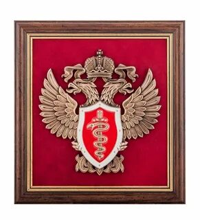 Российская фскн