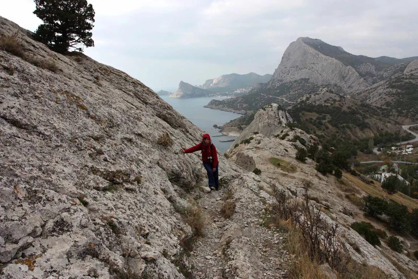 Трасса судак. Гора лягушка алупка. серпантин судак алушта. гора лягушка новый свет. гора лягушка судак.