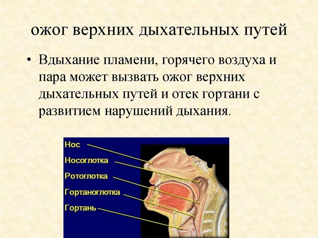 Антисептическое средство Фармстандарт Ингалипт - "Я знакома с этим антисептическ