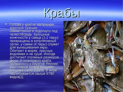 Краб описание
