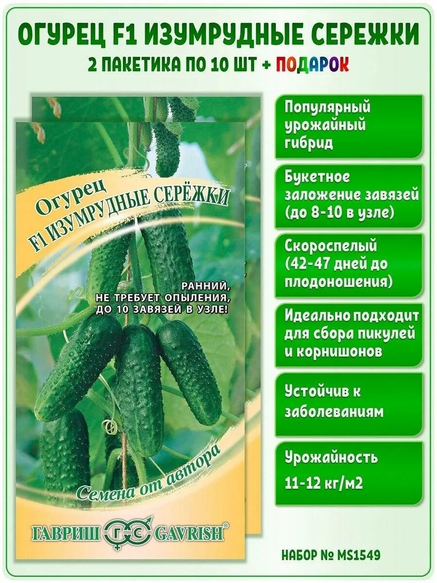 Огурцы сорт изумрудные сережки отзывы. Семена огурец изумрудные сережки f1. огурцы сорт изумрудные сережки. огурец изумрудные сережки семена.