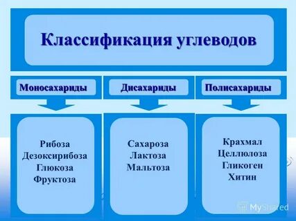 Фруктоза гликоген целлюлоза глюкоза крахмал моносахариды полисахариды