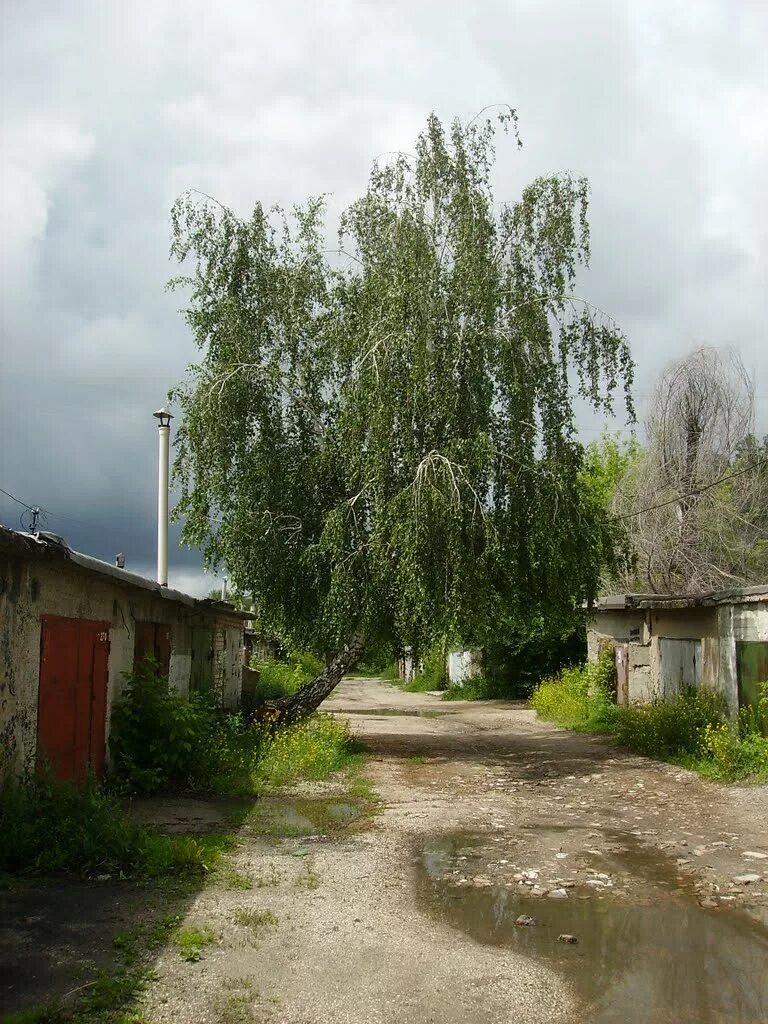 Поселок береза самара. Березово самарская область. Березово самарская область. Посёлок берёза самарская область. Село береза самарская область.