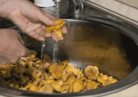 Лисички через мясорубку на зиму