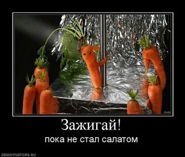 Зажигаем прикольная песня