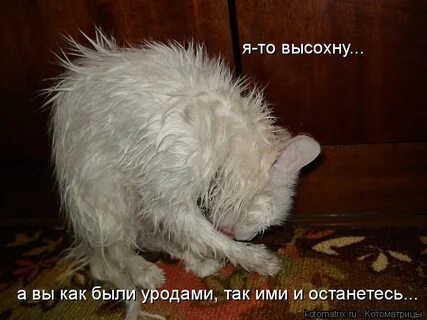 Как не быть уродом
